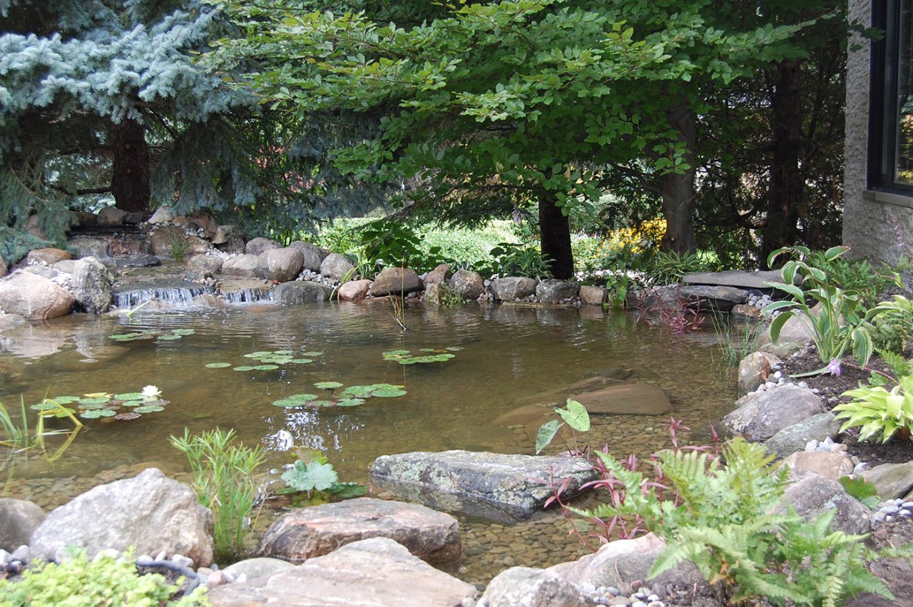 Ponds With Waterfalls | Jackson Pond