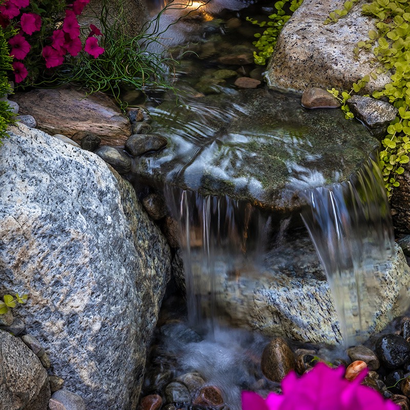 Water cascading down rocks with vibrant flowers accenting it.