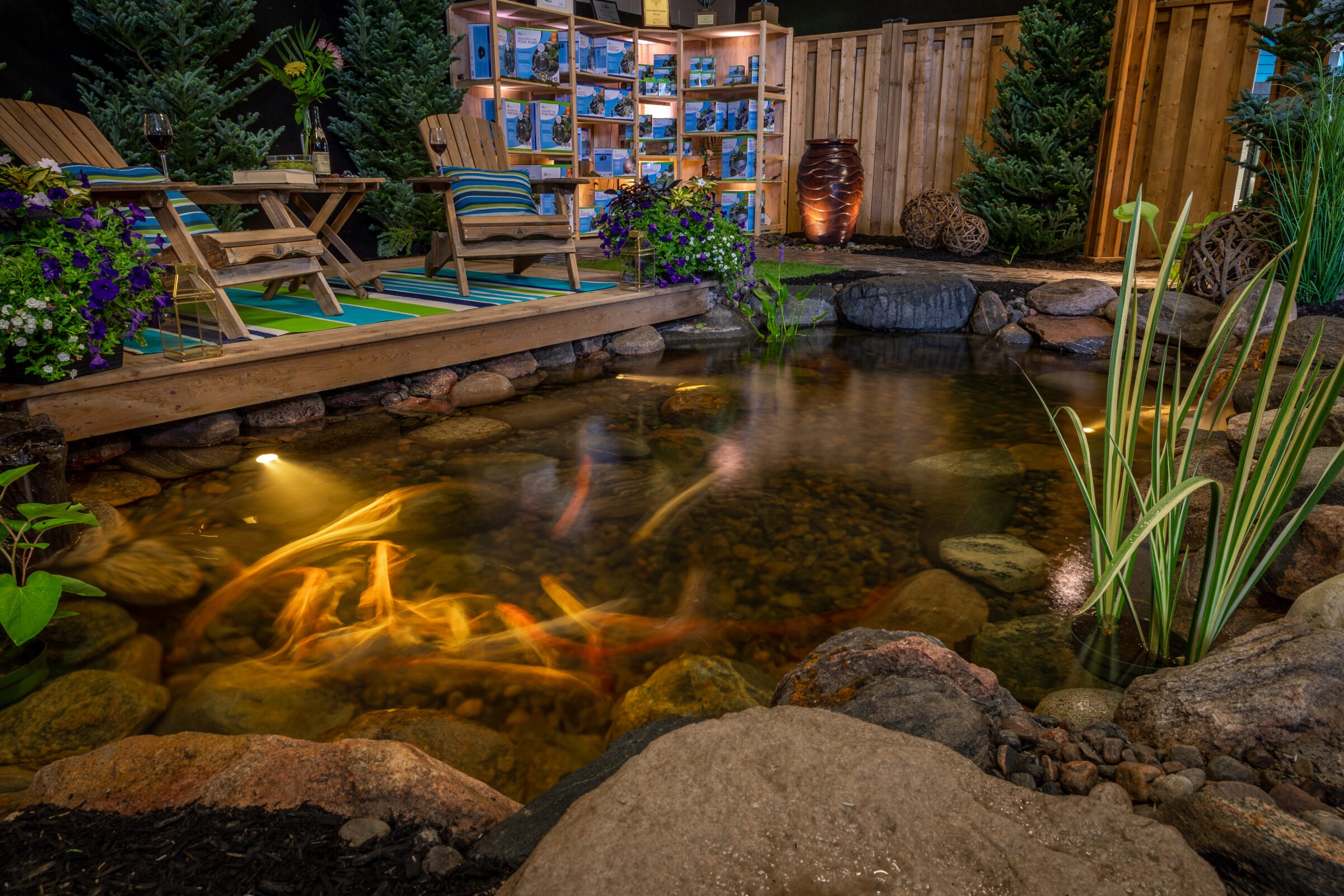 Tranquil backyard scene with a wooden deck, Adirondack chairs, vibrant koi pond, and decorative lighting surrounded by lush plants and a wooden fence.