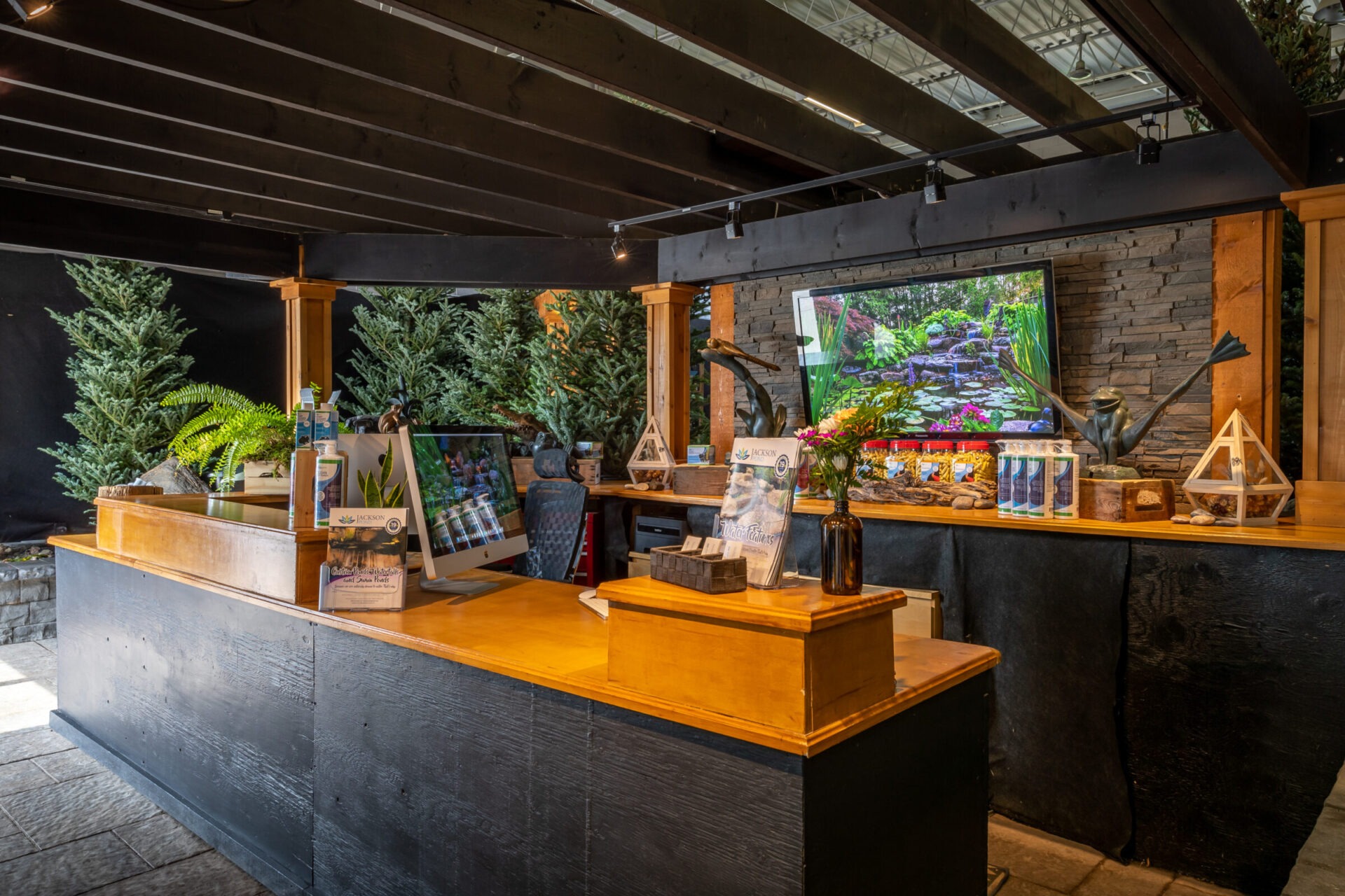 Reception area with wooden counter, framed print, plants, and computer. Decorative items include sculptural frog figures. Cozy atmosphere with stone and wood elements.