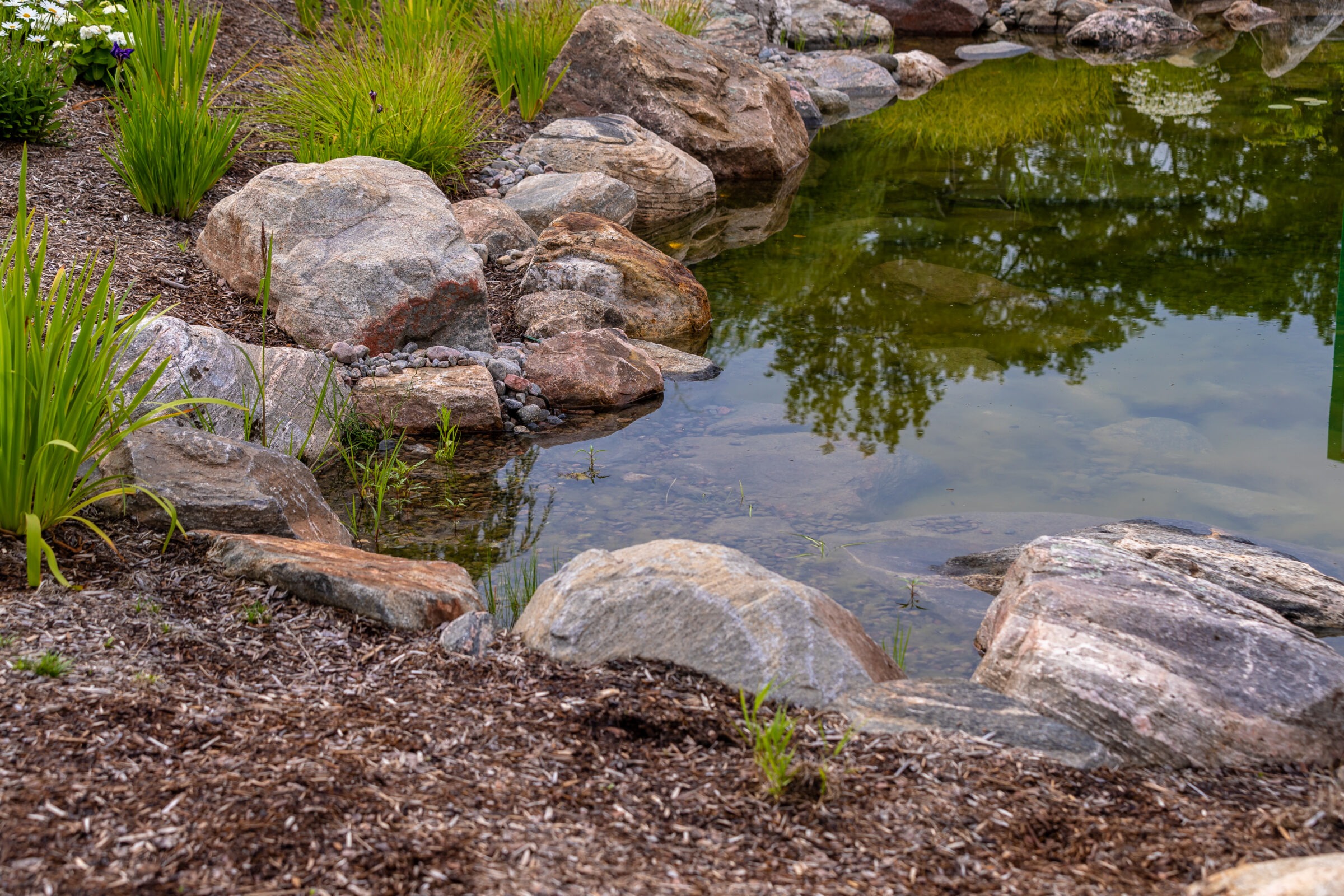 A serene pond with clear water, surrounded by rocks and green plants, reflecting the sky and trees above. No people present.