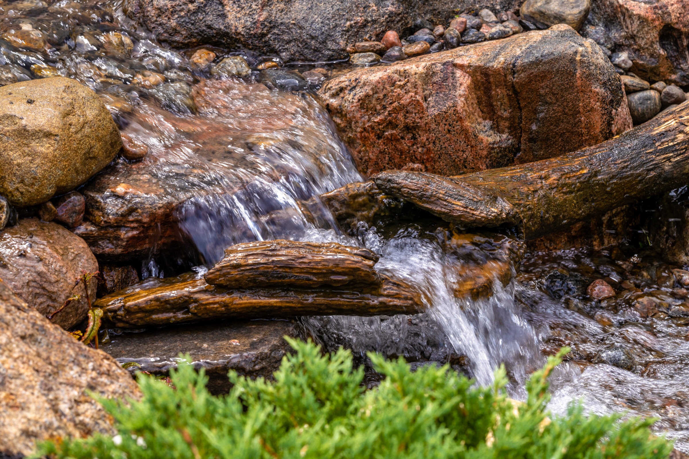 A small rocky stream flows over logs and stones, surrounded by green foliage, creating a serene natural landscape scene.