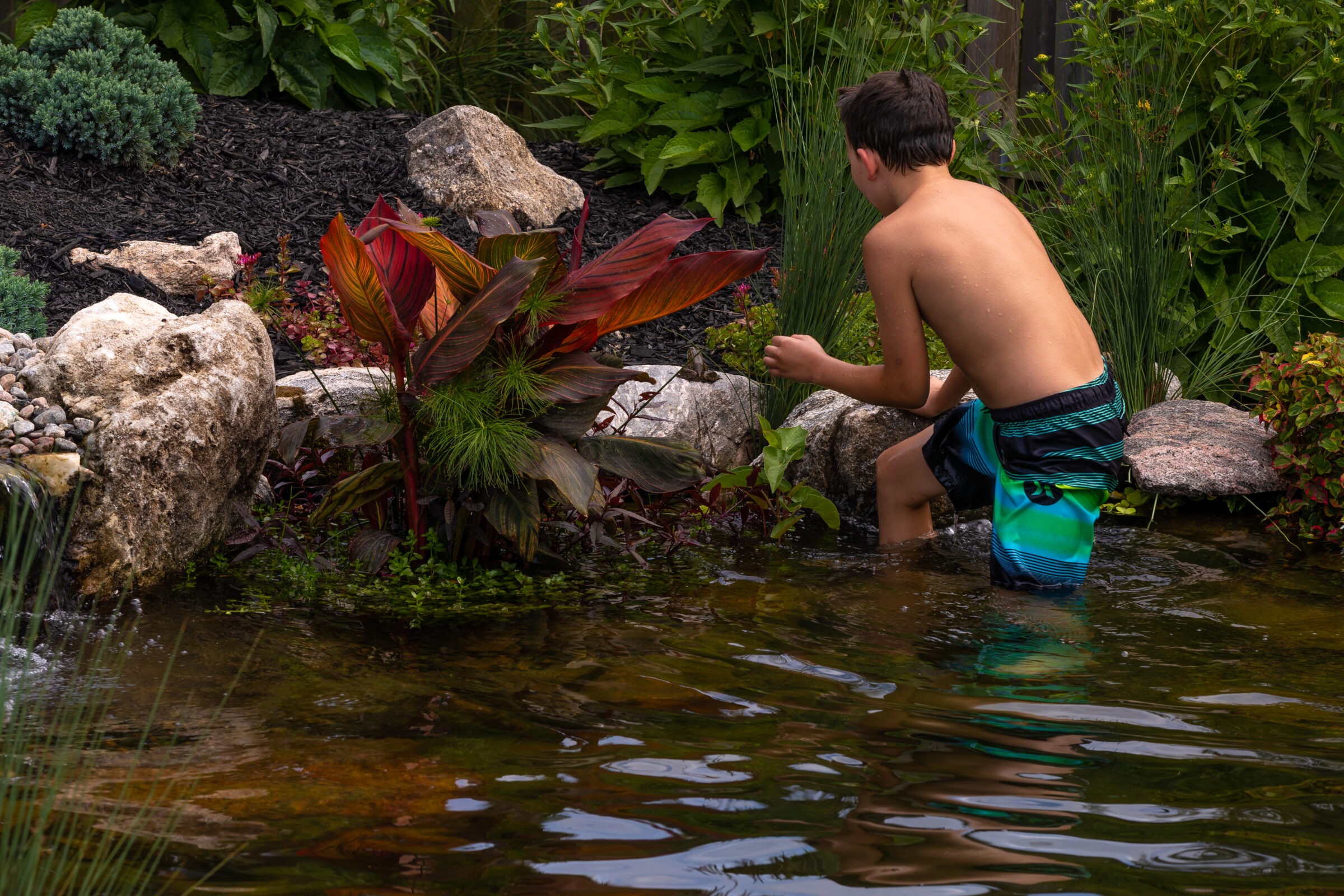 A child wades in a garden pond surrounded by rocks and lush green plants, featuring vibrant leaves and tranquil water.