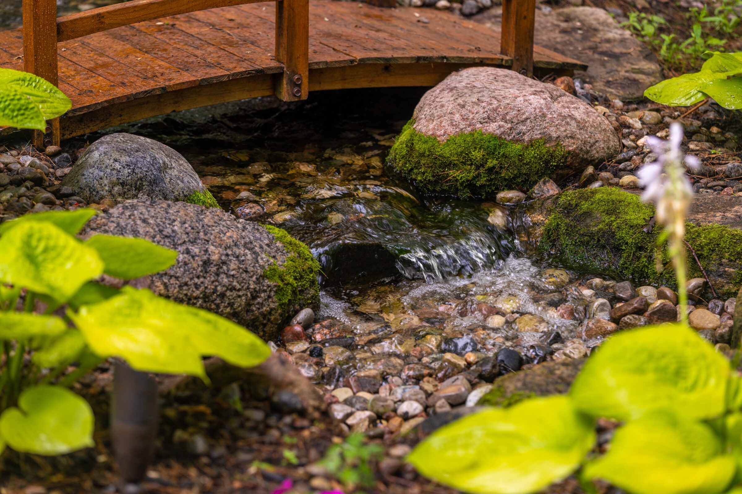 A tranquil garden scene with a small wooden bridge over a rocky stream, surrounded by lush green foliage and moss-covered stones.