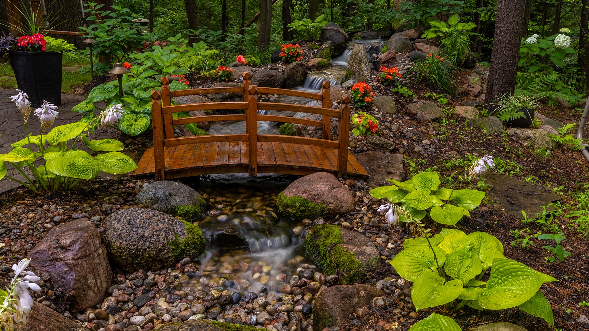 A serene garden scene features a wooden bridge over a small stream, surrounded by vibrant flowers and lush green plants.