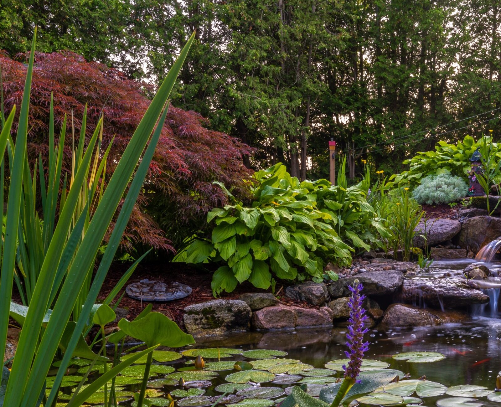 A serene garden pond with blooming flowers, lily pads, and cascading waterfall, surrounded by lush greenery and natural stone features.