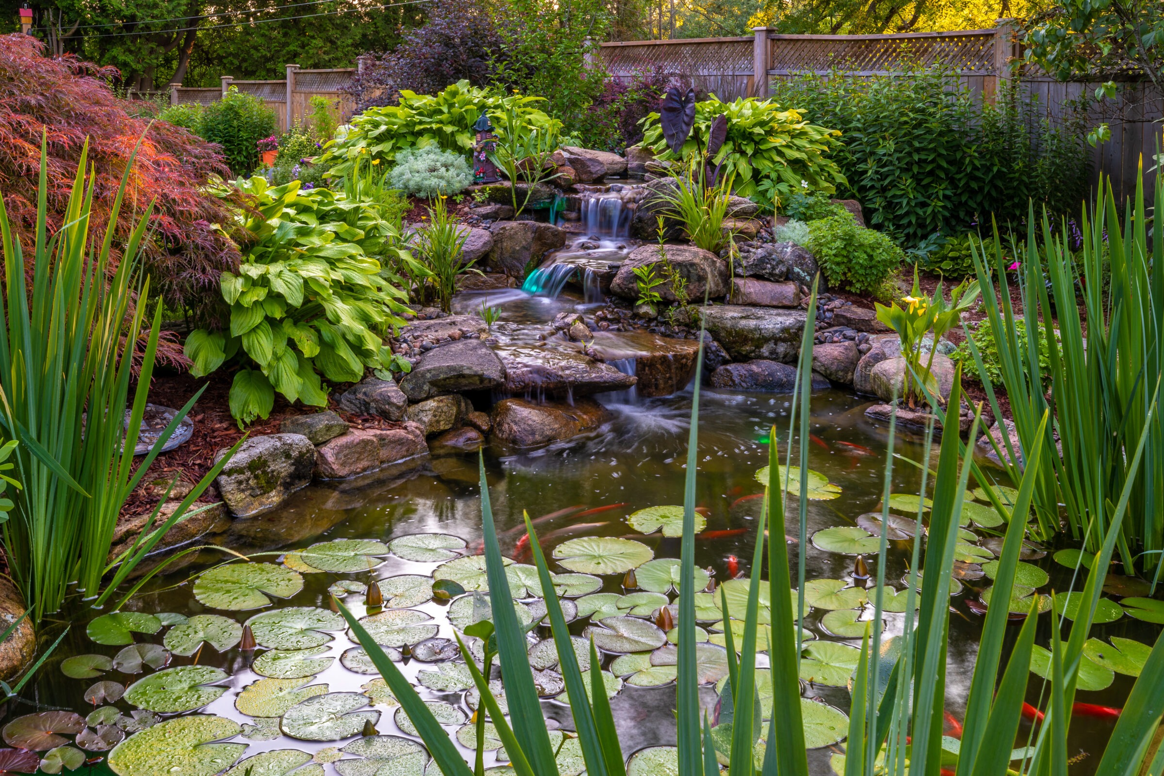 A serene garden pond features lily pads, surrounded by lush greenery and a small cascading waterfall, enclosed by a wooden fence.
