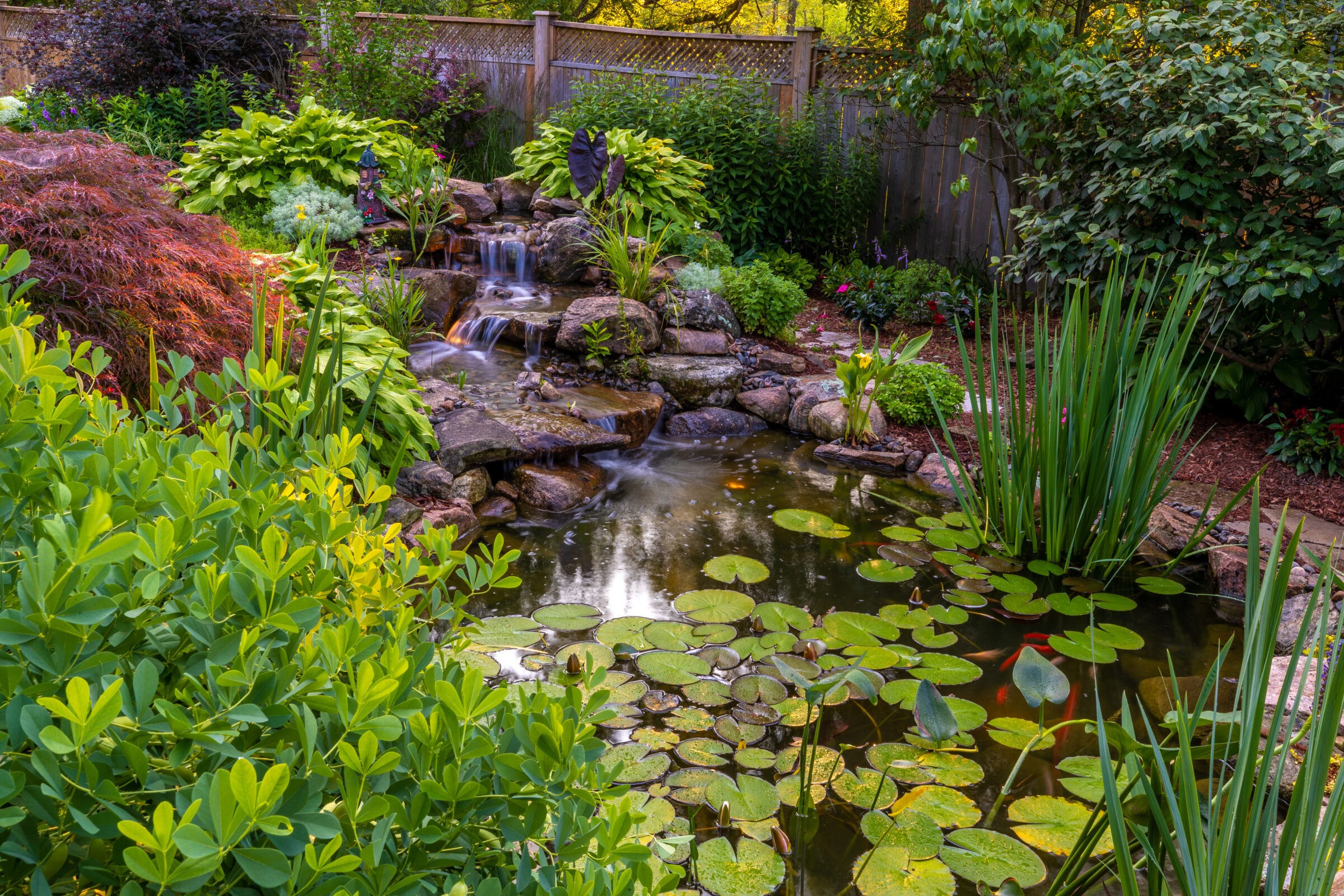 A serene garden features a pond with lily pads, surrounded by lush greenery, vibrant plants, and a small cascading waterfall.