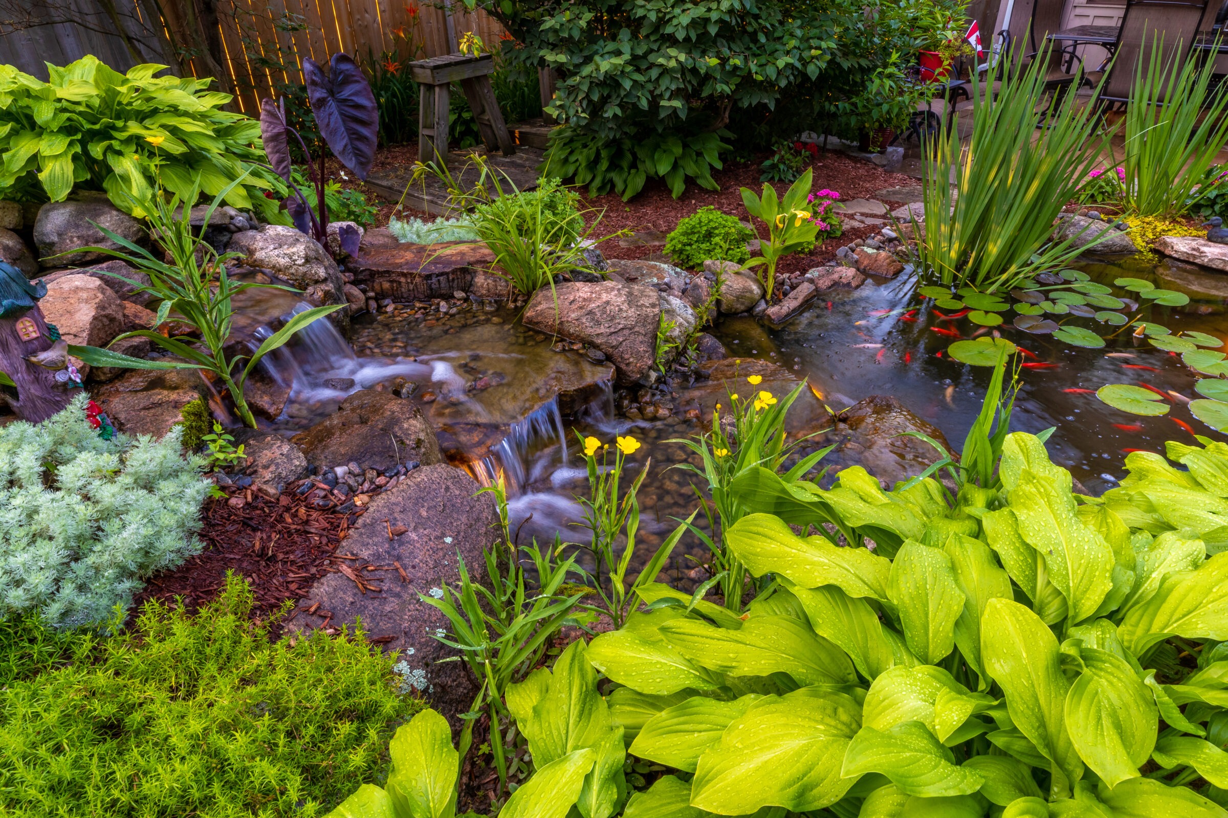 A tranquil garden features a small waterfall, lush greenery, and a pond with lily pads and colorful fish, creating a serene atmosphere.