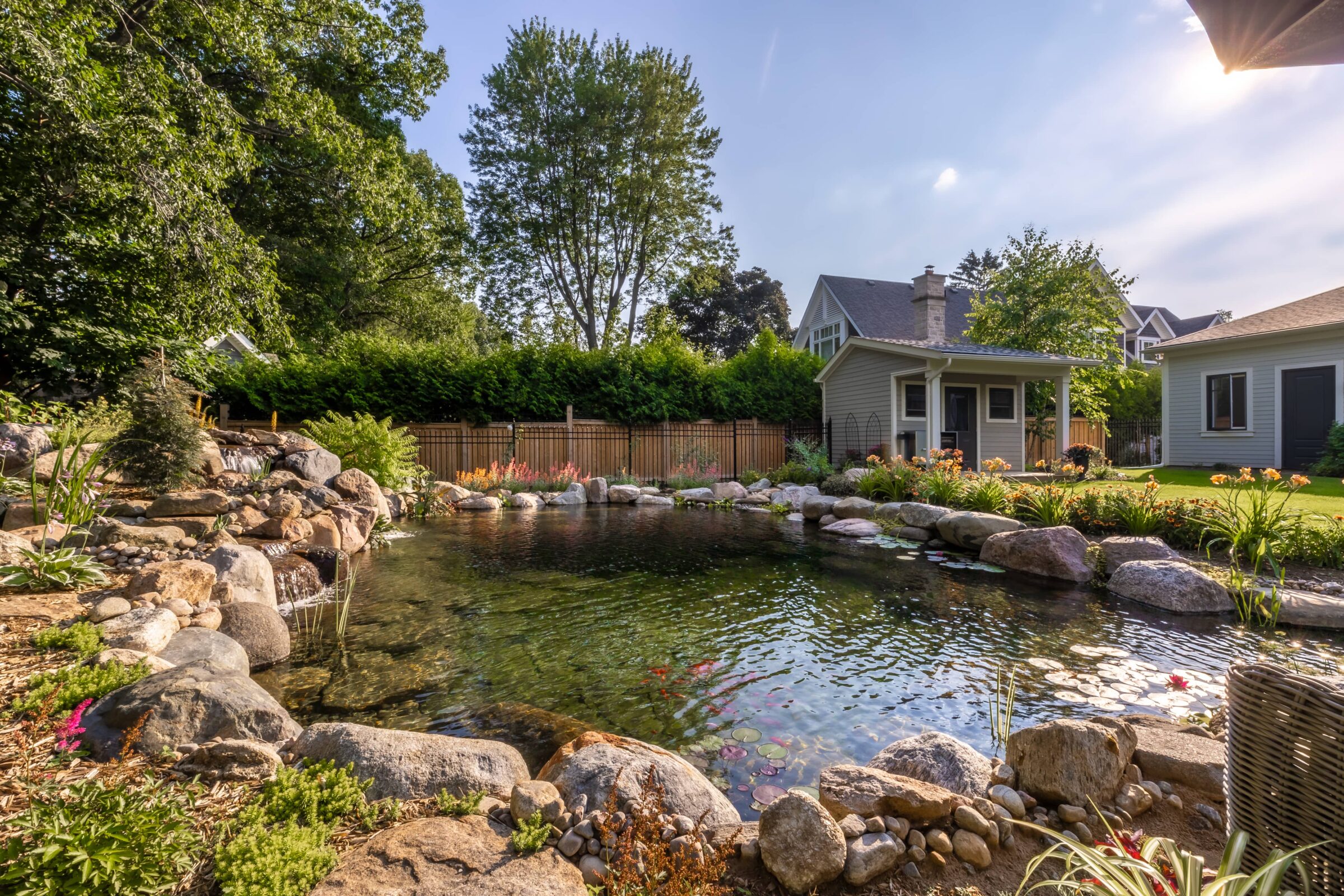 Serene backyard scene with a pond surrounded by rocks and plants, adjacent to two houses under a clear blue sky.