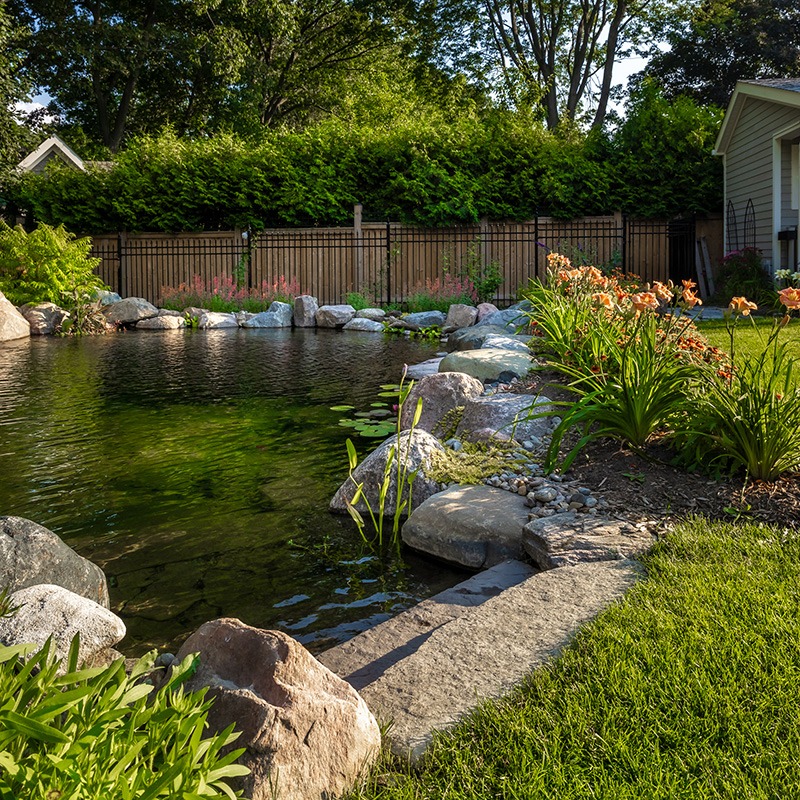 A tranquil backyard garden features a pond surrounded by rocks, lush greenery, and blooming flowers, offering a serene and picturesque setting.