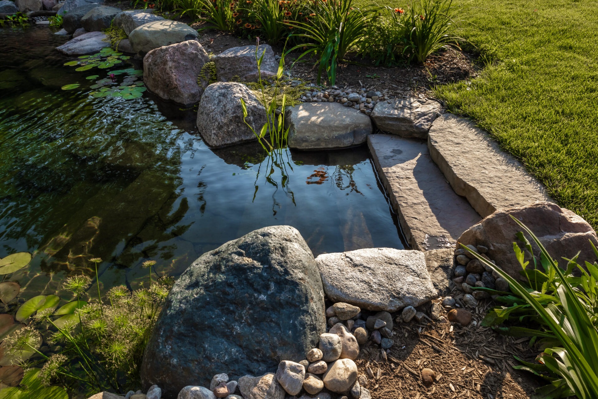 A serene garden pond with lily pads, surrounded by natural stones and greenery under sunlight, creating a peaceful, outdoor atmosphere.