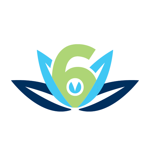 A stylized logo featuring a green number "6" within a blue and green abstract design resembling petals or wings, on a white background.
