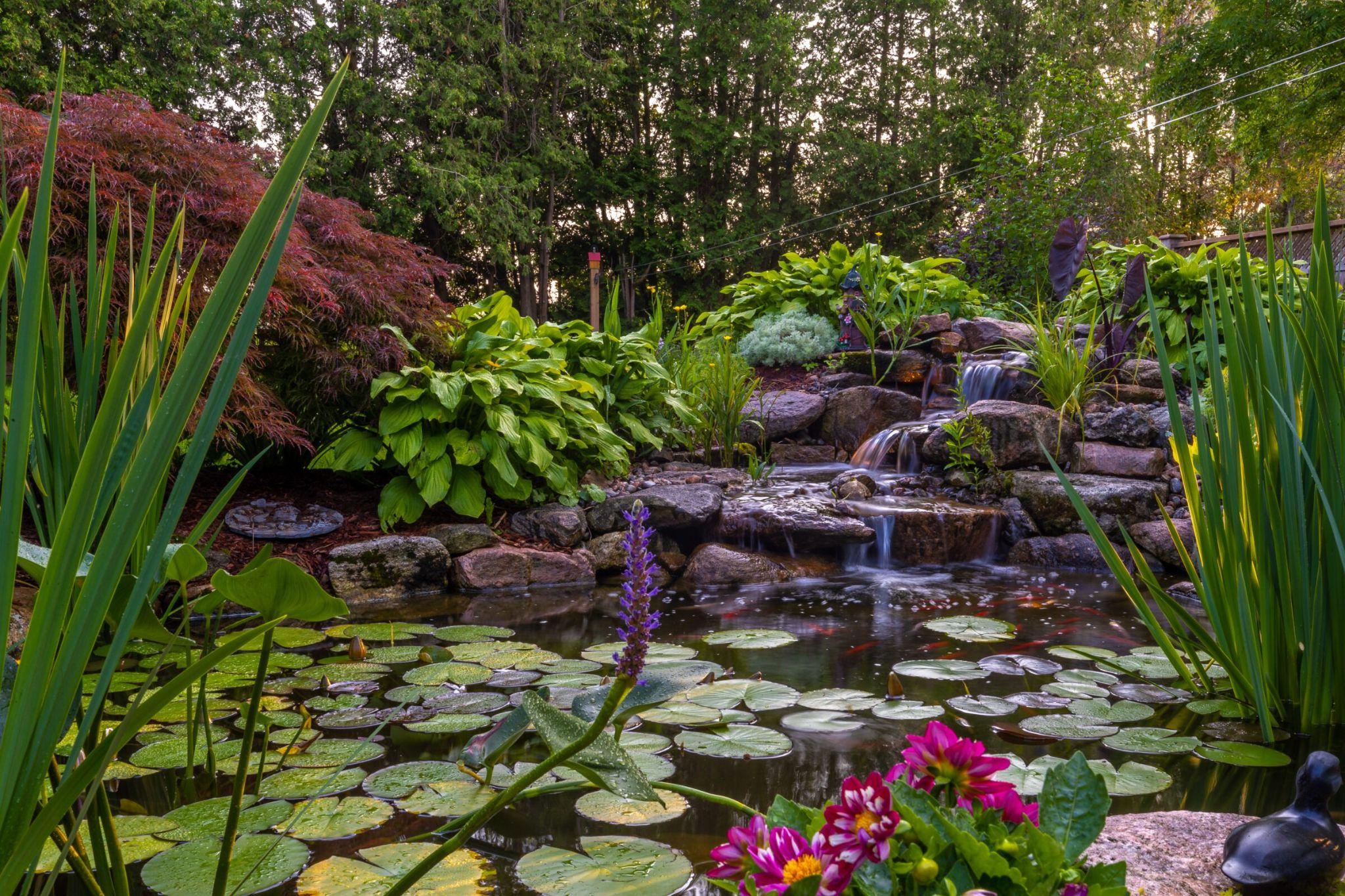 A close-up of a small cascading waterfall flowing over rocks, surrounded by bright pink and purple flowers and green groundcover.