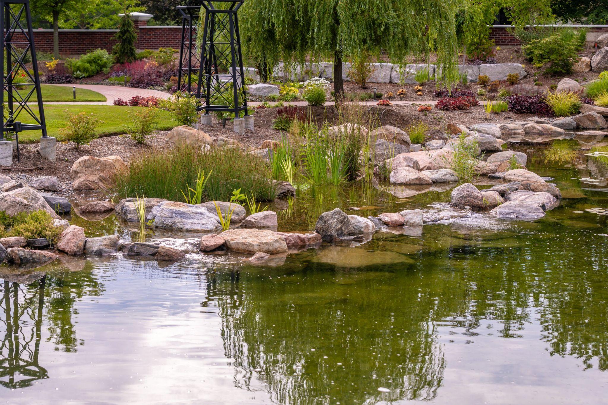 A naturalistic pond edge with large rocks, reeds, and grasses growing in shallow water near landscaped garden beds.
