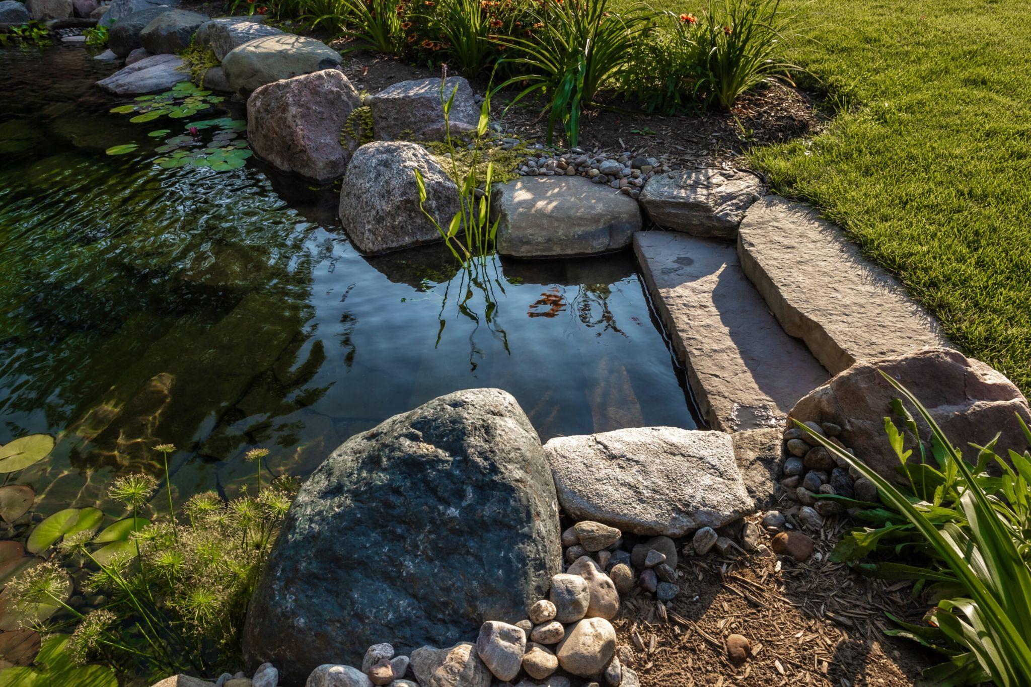 A stone-lined corner of a pond with aquatic plants emerging from the water and sunlight reflecting on the surface.