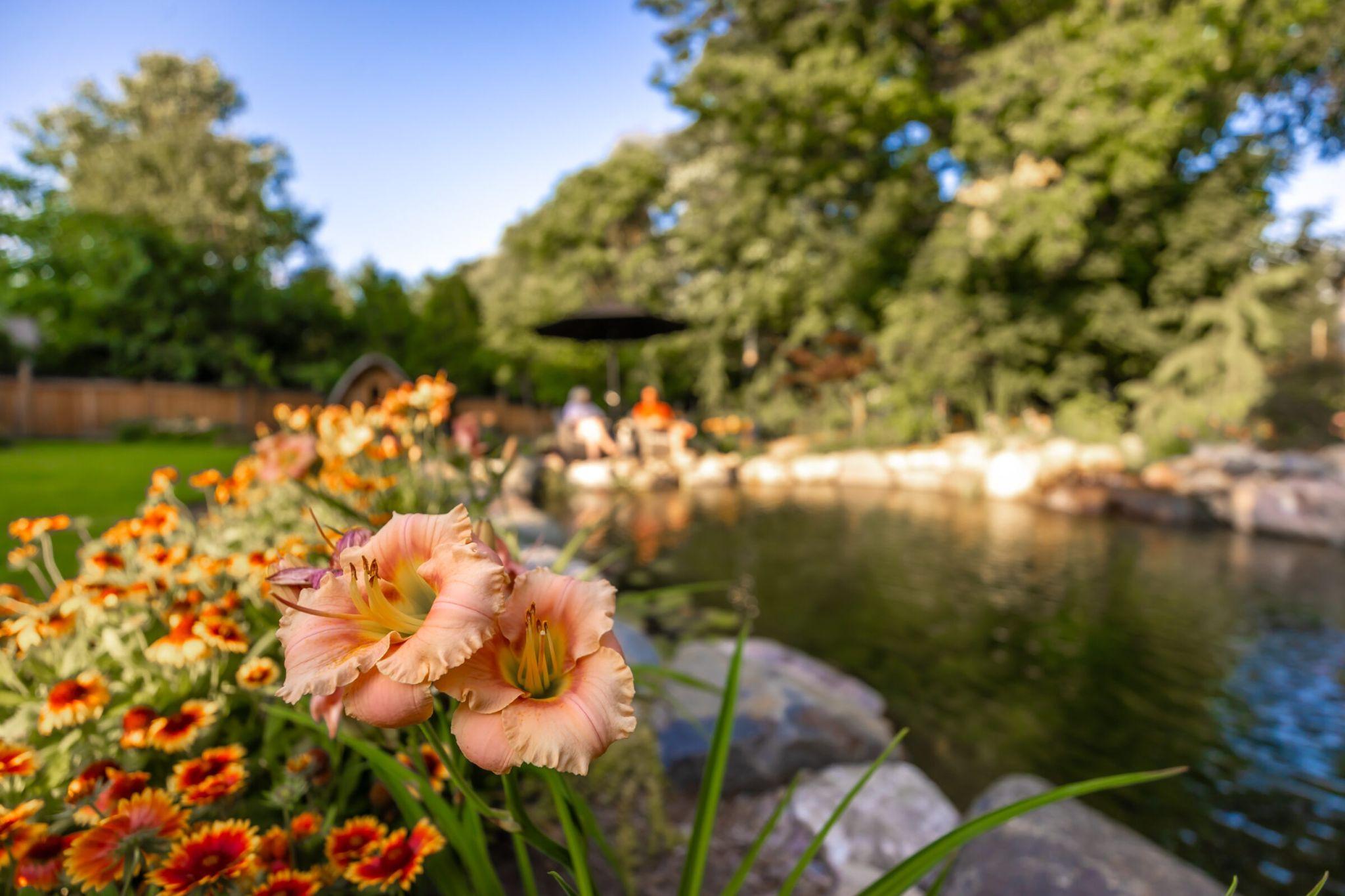 Peach-colored flowers in sharp focus beside a pond, with people sitting and trees softly blurred in the background.