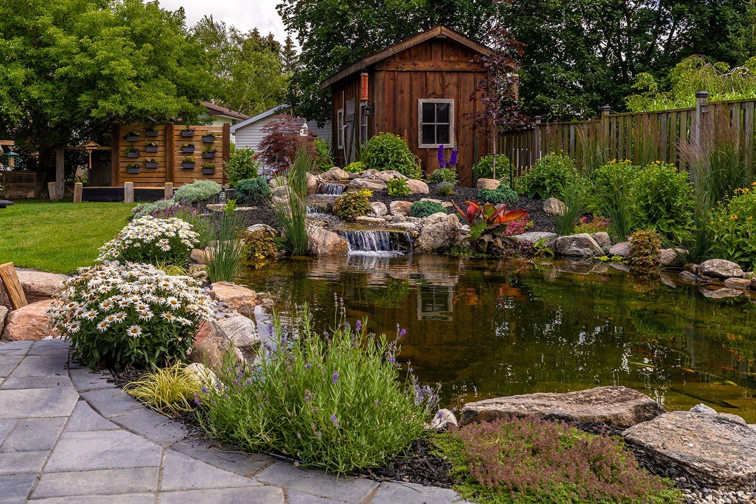 Landscaped garden pond with waterfall and stone edging